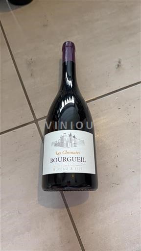 Loiredalen Bourgueil Domaine Bureau & Fils Les Chesnaies Icke årgångsbetecknad