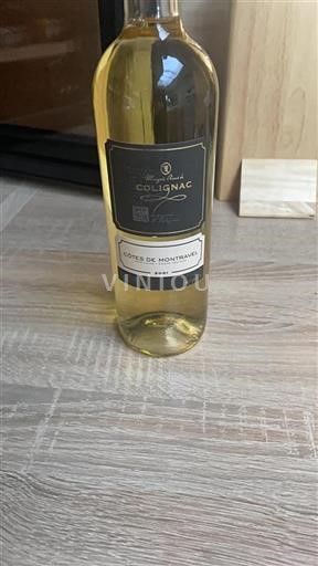 Zuidwest-Frankrijk Côtes-de-montravel Colignac 2021