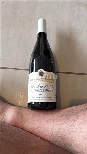 Borgonha Não especificado Premier Cru Domaine Sébastien Deschamps Les Champs Fulliots 2022
