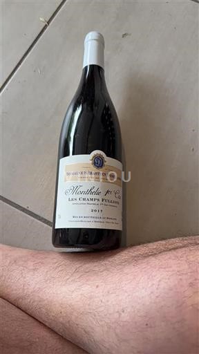 Borgonha Não especificado Premier Cru Domaine Sébastien Deschamps Les Champs Fulliots 2017