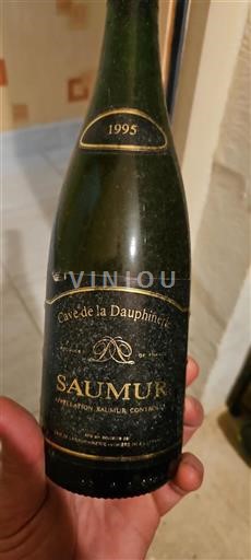 Valle del Loira Saumur Cave De La Dauphinerie 1995