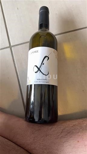 Sudoeste Côtes de Gascogne Léandre Sin añada