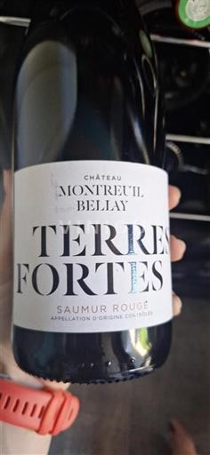Loiretal Saumur Montreuil Bellay Terres Fortes 2021