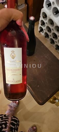 Apulia Alezio Luca De Castris Il Medaglione Ei vuosikertaa