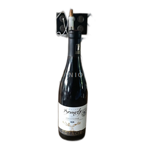 Vin Rouge sec Trésor Domaine Brunely 2021 France Vallée du Rhône Gigondas AOC