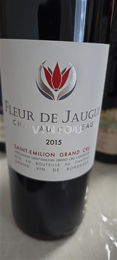 Bordeaux Saint-Émilion Grand Cru Grand Cru Château Cruzeau Fleur de Jaugue 2015