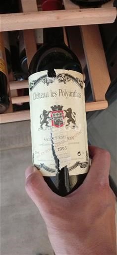 Burdeos Saint-Émilion Grand Cru Château Les Polyanthas 1993