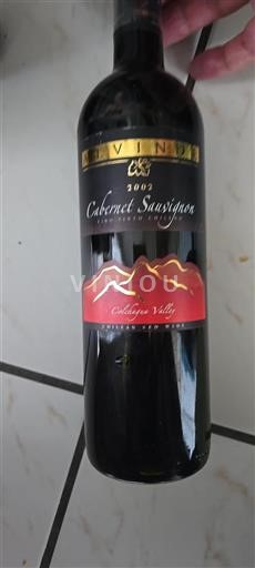 Colchagua Valley Niet gespecificeerd Alviña Cabernet Sauvignon 2002