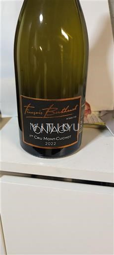 Borgonha Não especificado Premier Cru François Berthaut Mont-Cuchot 2022