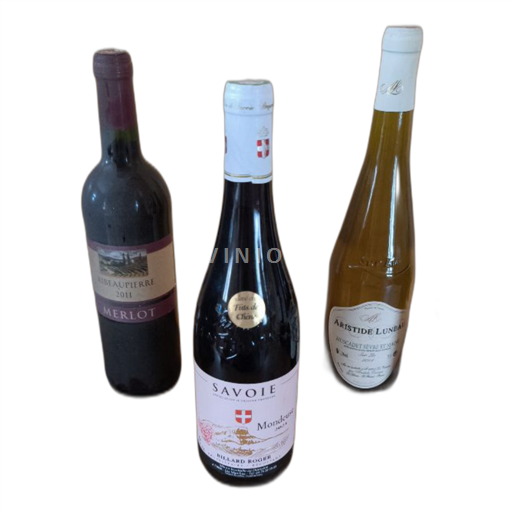 Savoie and Bugey Mondeuse Billard Roger 2021