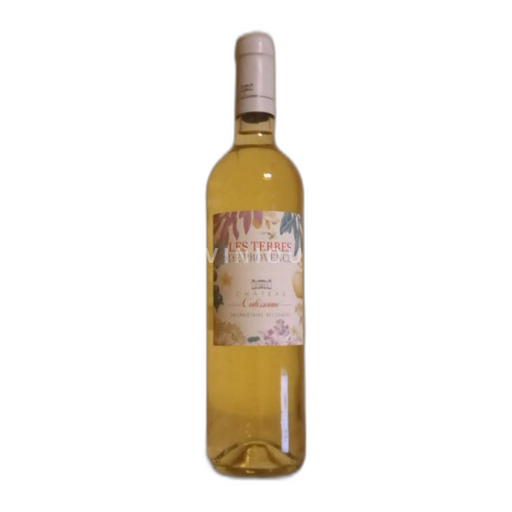 Vin Blanc sec Château Calissanne 2020 France Provence Coteaux-d'aix-en-provence AOC
