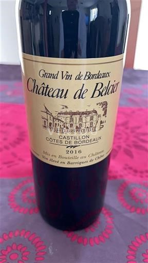 Bordeaux Castillon-côtes-de-bordeaux Château Belcier 2016