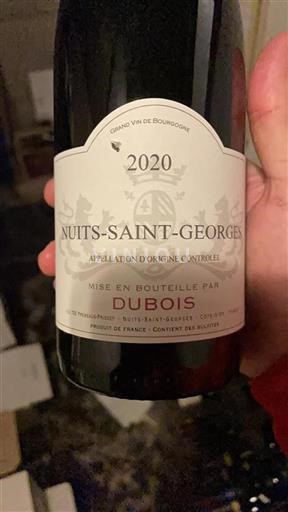 Burgundi Nuits-saint-georges Dubois 2020