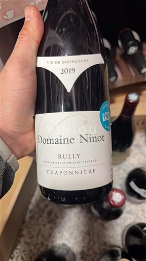 Bourgogne Rully Domaine Ninot Chaponnière 2019