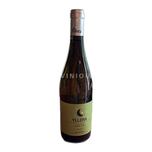 Castile and León Rueda Bodegas Yllera Vendimia Nocturna Verdejo 2024