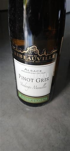 Alzacija Pinot sivi Cave De Ribeauvillé Vendanges Manuelles 2015