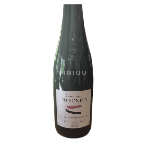Loire-dalen Saint-Nicolas-De-Bourgueil Domaine Des Fondis 2022