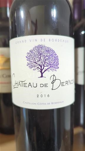 Bordeaux Castillon-côtes-de-bordeaux Château Bernon 2016