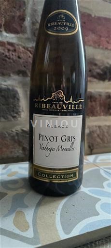 Alsace Cave De Ribeauvillé Vendanges Manuelles 2009