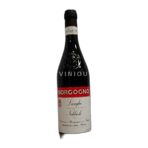 Piamonte Langhe Borgogno 2017