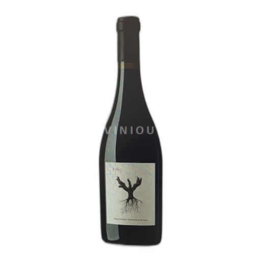 Kastilie a León Ribera del Duero Dominio De Pingus PSI 2022 2022