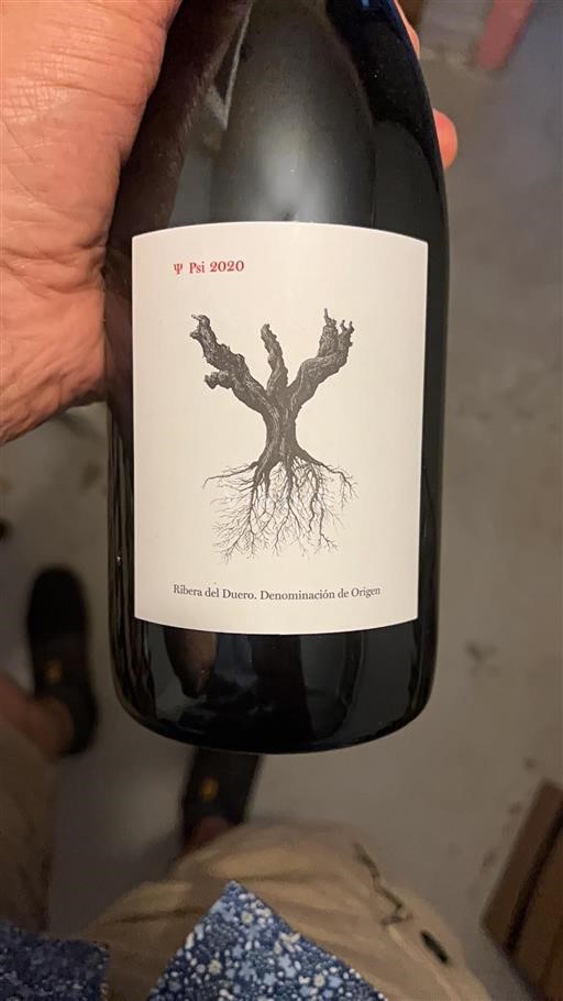 Castiglia e León Ribera del Duero Dominio De Pingus Psi 2020