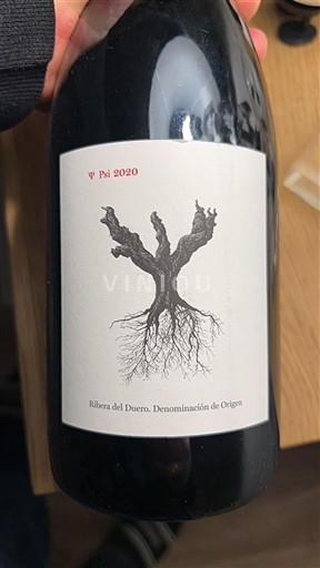 Castilla og León Ribera del Duero Dominio De Pingus Psi 2020