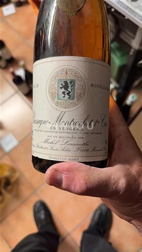 Borgonha Não especificado Premier Cru Michel Lamanthe Les Vergers 1995