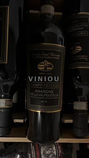 Veneto Amarone della Valpolicella Tenuta Sant'antonio Campo dei Gigli 2015