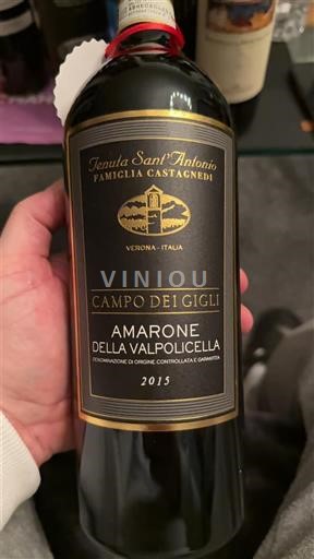 Vénétie Amarone della Valpolicella Tenuta Sant'antonio Campo dei Gigli 2015