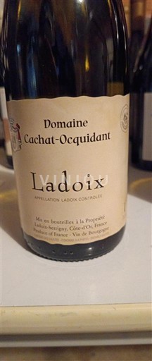 Burgundsko Ladoix Cachatocquidant 2023