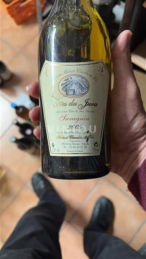 Jura Côtes-du-jura Hubert Clavelin Et Fils Savagnin 2005