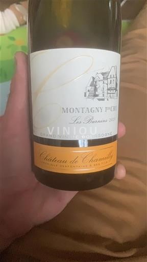 Borgogna Montagny Premier Cru Château Chamilly Les Burnins 2023