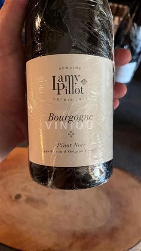 Burgundy Domaine Lamypillot 2023