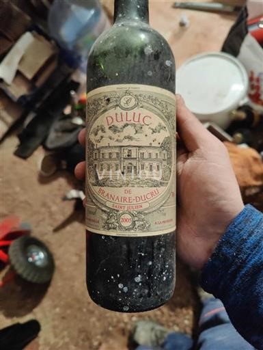 Burdeos Saint-Julien Château Branaireducru Duluc 2005