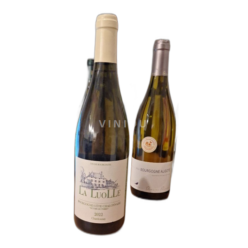 Borgoña Borgoña-Costa-Chalonnaise La Luolle Écume de Terre 2022