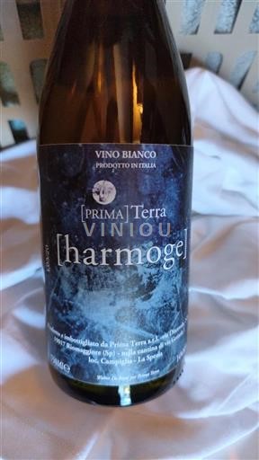Wines of Liguria Unspecified Prima Terra Harmoge Non-Vintage