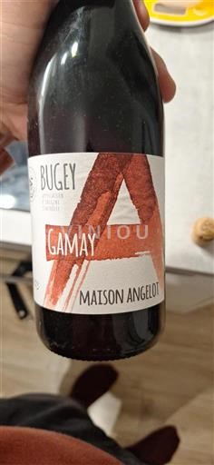 Savoyen und Bugey Bugey Maison Angelot 2023