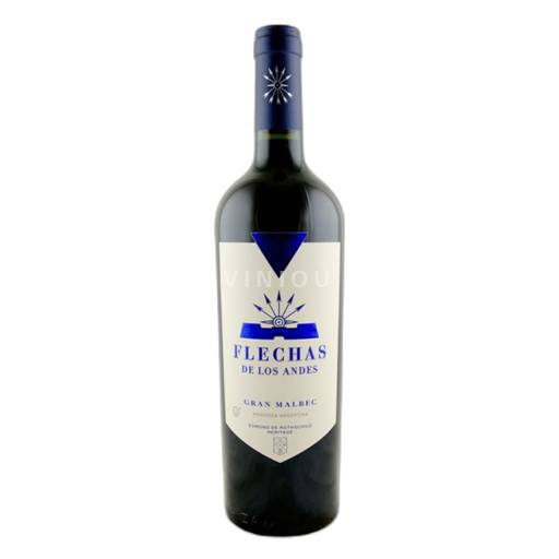 Vin Rouge sec Flechas de los Andes 2021 Argentine Mendoza