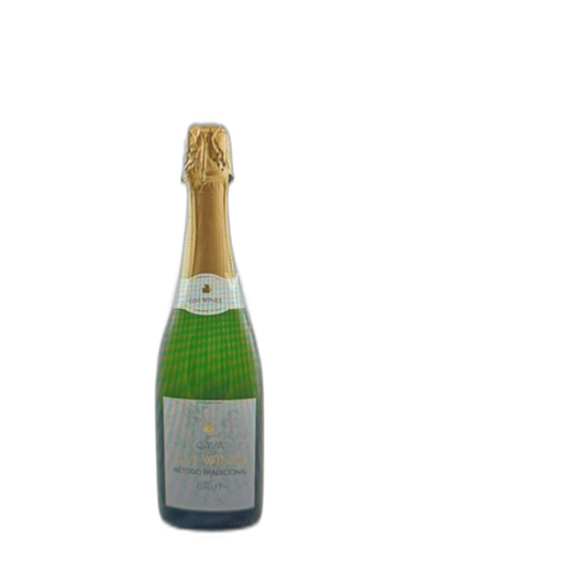 Catalonia Unspecified Elvi Cava Non-Vintage