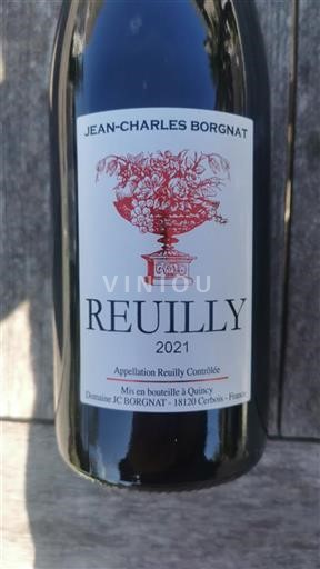 Valle della Loira Reuilly Domaine Jean-charles Borgnat 2021