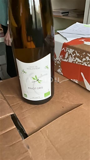 Alsace Cave De Beblenheim 2022