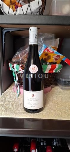 Valle del Loira Anjou Domaine La Treille Thibault Henrion Sin añada