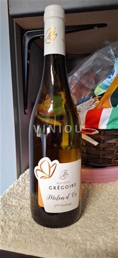 Valle della Loira Muscadet Maurène Grégoire Melon d'Or Senza annata