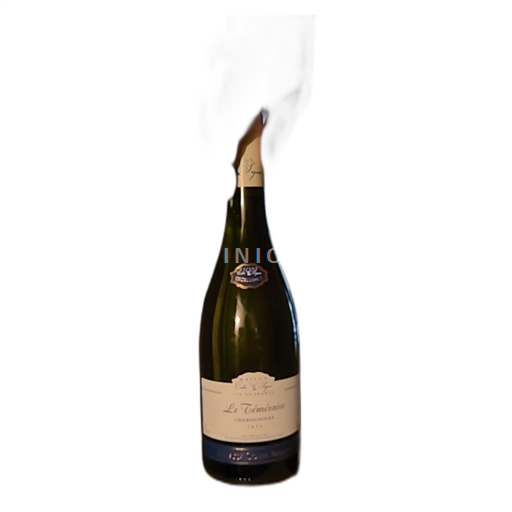 Bourgogne Maison Colin Seguin Le Téméraire 2021