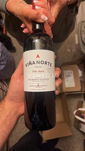 Kanarische Inseln Tacoronte-Acentejo Bodegas Insulares Tenerife Viña Norte Tinto Joven 2024