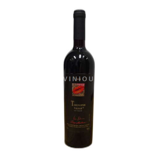 Vin Rouge sec Thelygenie Valsar Adrian Et Diego Mathier 2020 Suisse Valais AOC