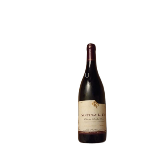 Borgogna Santenay Premier Cru Domaine Pierre Brazey Clos des Roches Noires 2011