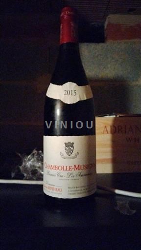 Borgonha Não especificado Premier Cru Domaine Berteau Les Amoureuses 2015