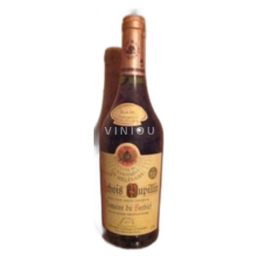 Jura Arbois Henri Maire Pupillin Domaine du Sorbief 1995